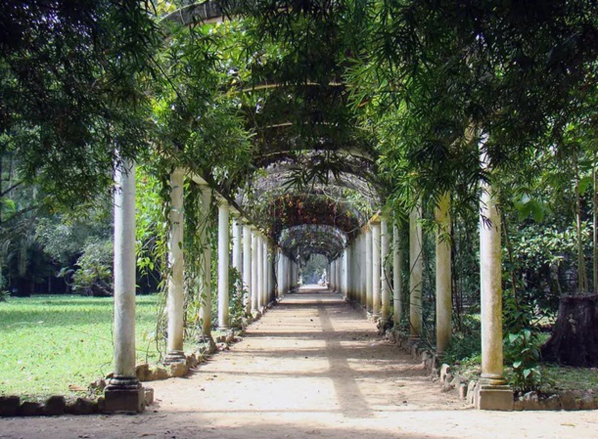 Jardim Botânico promove semana de atividades sobre o Pantanal - Divulgação