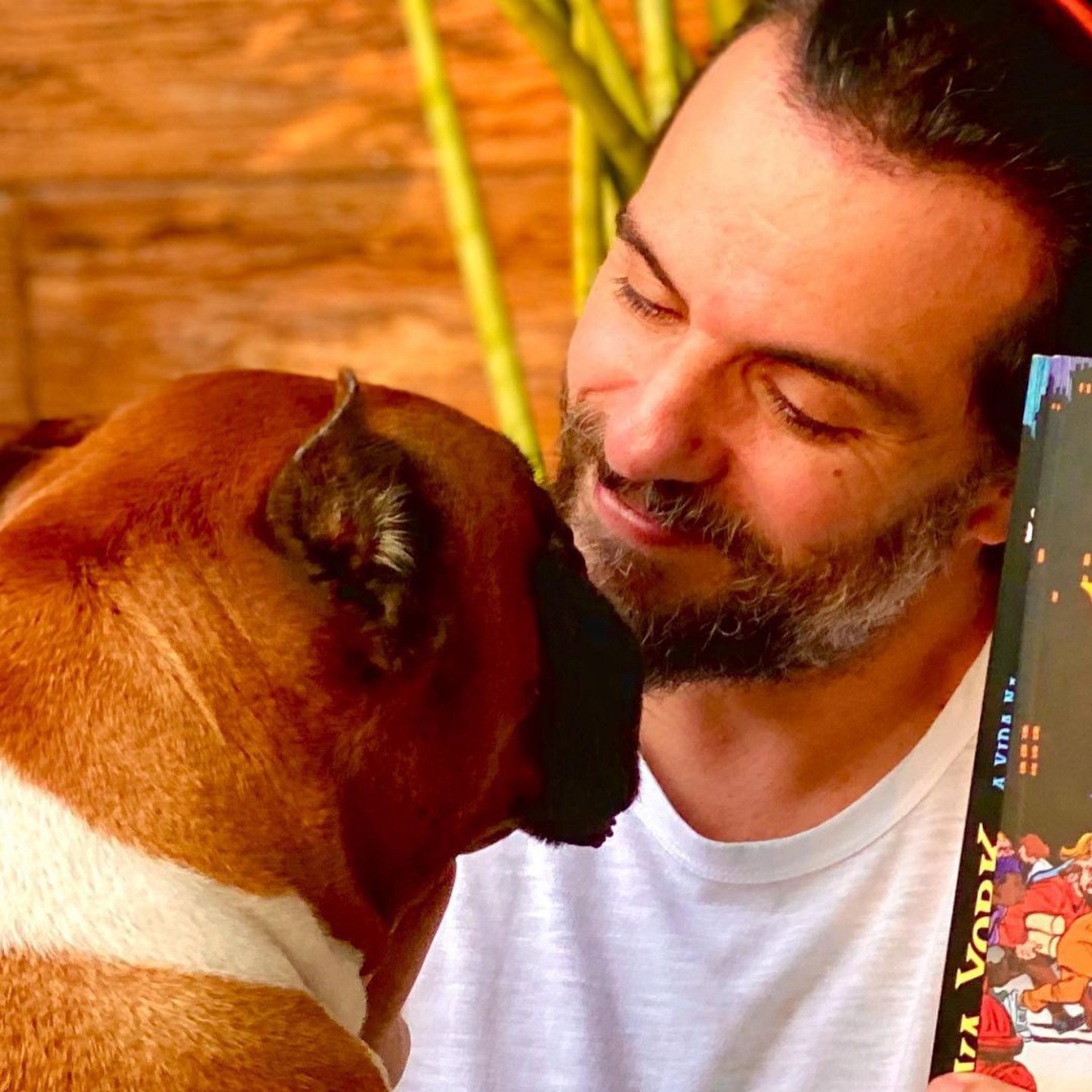 Rodrigo Lombardi lamenta morte de cão - Reprodução Internet