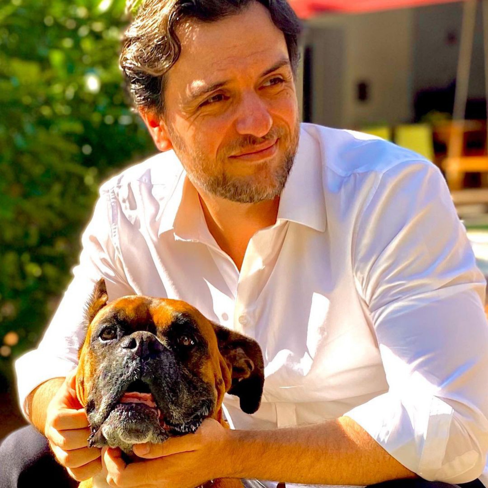 Rodrigo Lombardi lamenta morte de cão - Reprodução Internet