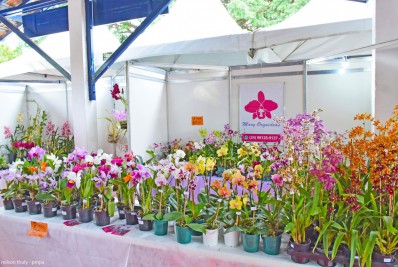 Paty volta a promover Expo Orquídeas e Bromélias após dois anos