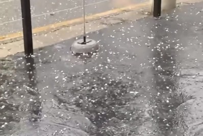 Patéticos criminosos 