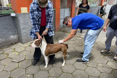 Mais de 4.500 animais vacinados contra a raiva no último sábado