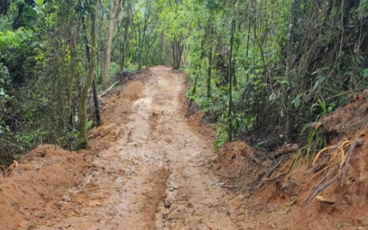Estrada ilegal atravessa &aacute;rea de preserva&ccedil;&atilde;o em Paraty