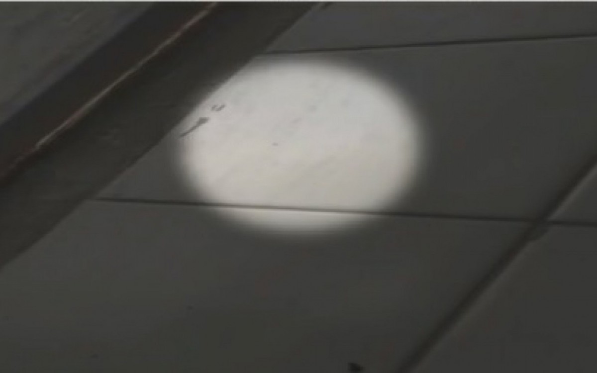 Maternidade escola da UFRJ sofre com infestação de 'piolho de pombo' - Divulgação