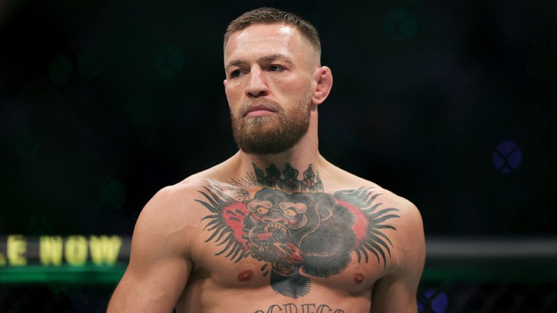 Conor McGregor não luta desde 2021, mas segue sendo notícia - (Foto: Divulgação/UFC)