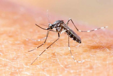 Instituto recruta voluntários para teste de vacina contra chikungunya