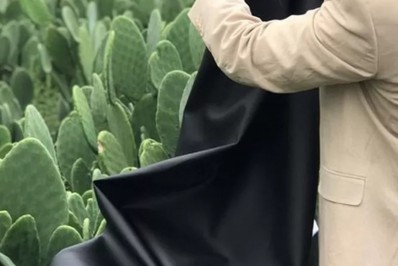 Proibido no Brasil, couro ecológico