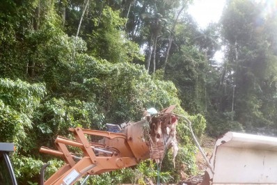 Lixo é retirado em Lumiar e moradores são incentivados a colaborar com a limpeza