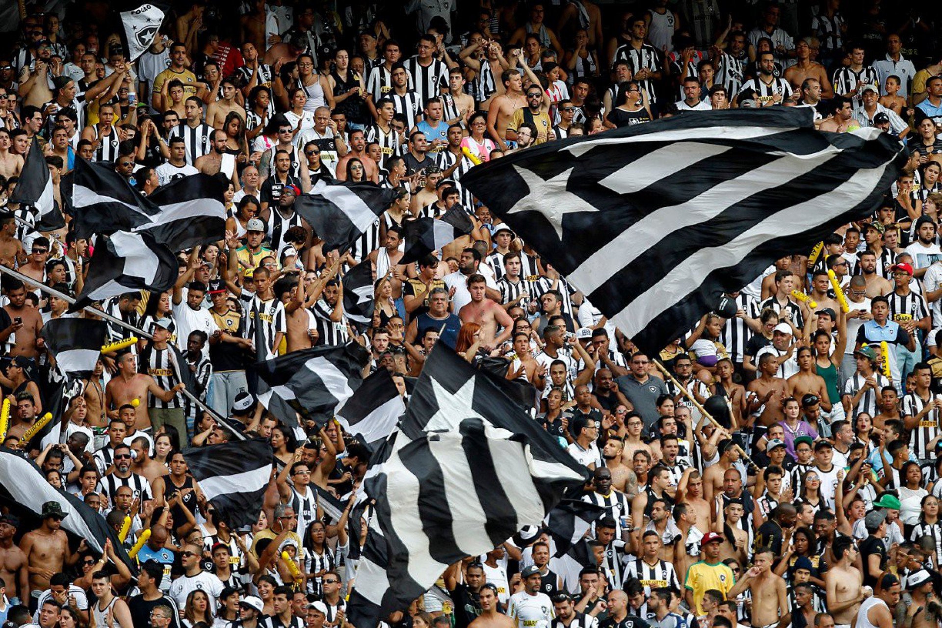 Botafogo x Portuguesa: ingressos à venda para sócios para jogo de