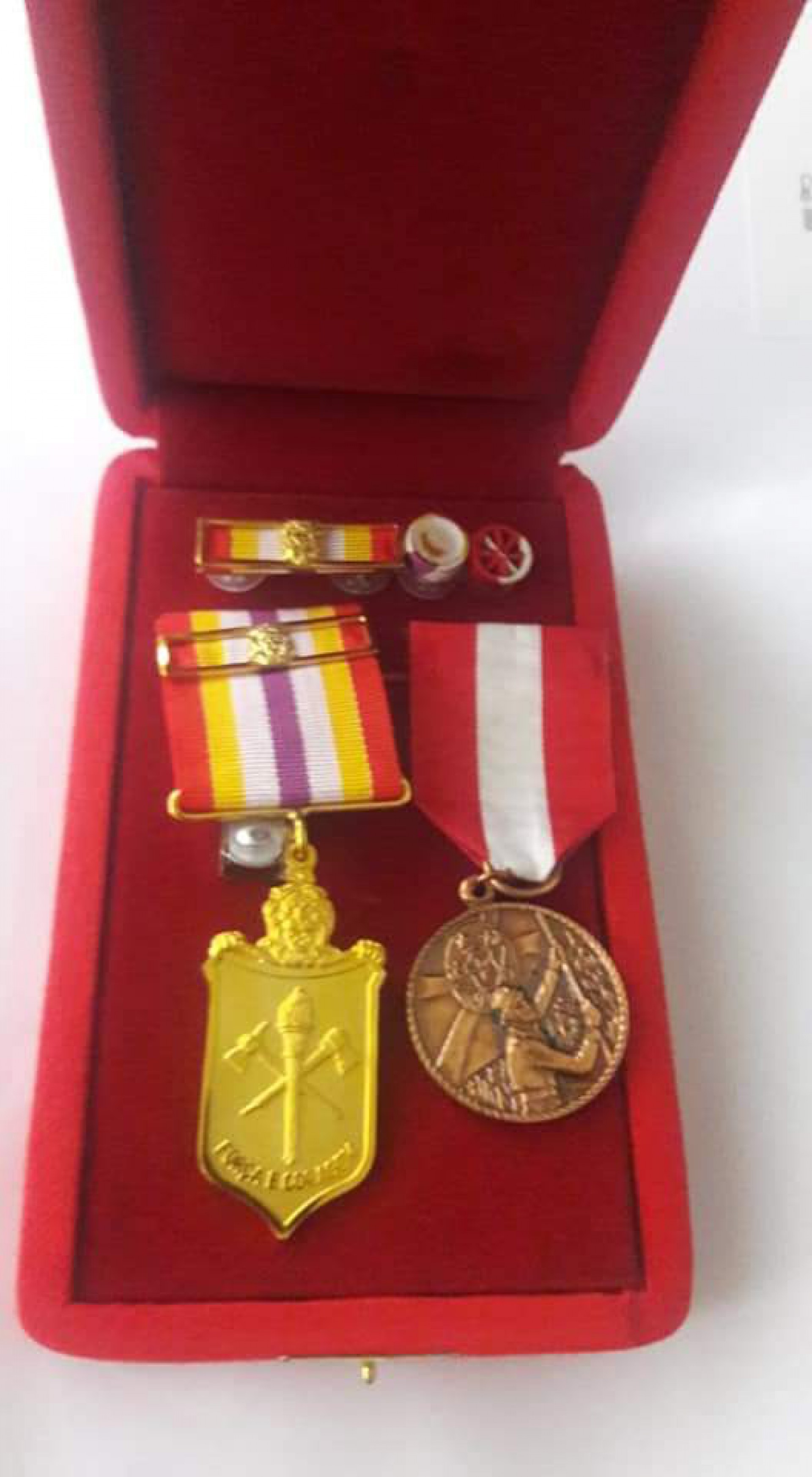 Medalha recebida por Wagner Bonin, de 42 anos, por trabalho em Brumadinho - Reprodução