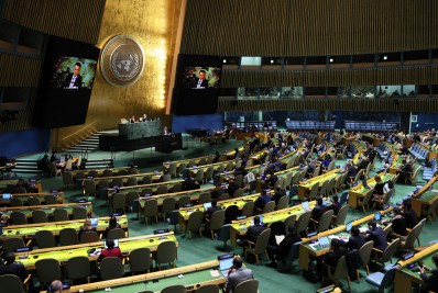 ONU premia iniciativa de restauração da Mata Atlântica