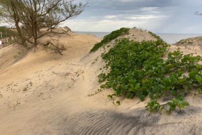 População será ouvida para definir área de proteção das dunas e restingas do município
