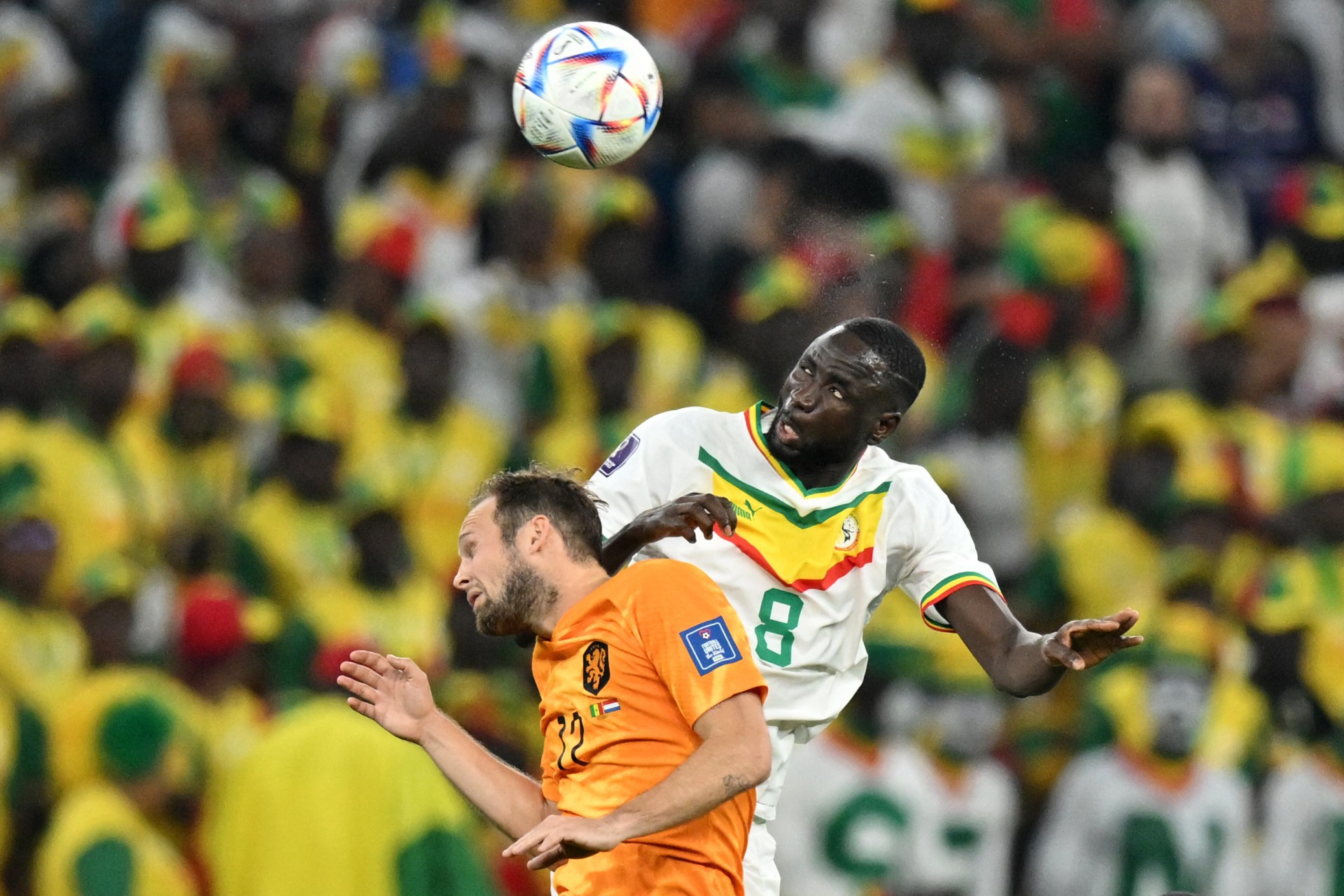 Senegal x Holanda, pela primeira rodada do Grupo A da Copa do Mundo do Catar  - AFP