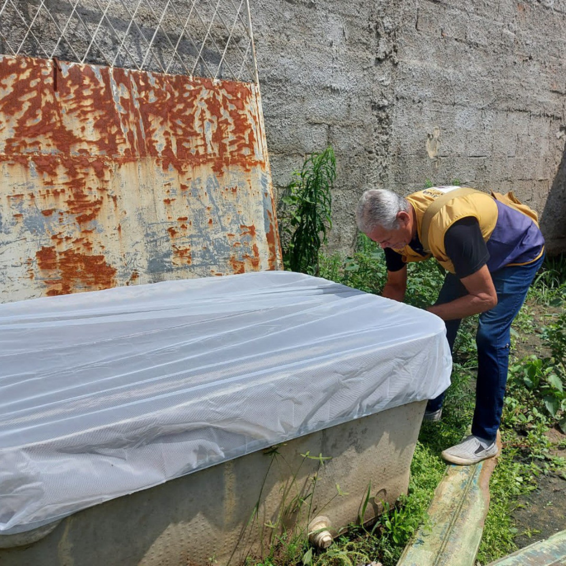 Arboviroses s&atilde;o doen&ccedil;as causadas por v&iacute;rus transmitidos, principalmente, por mosquitos