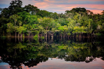 Reino Unido avalia entrada no Fundo Amazônia