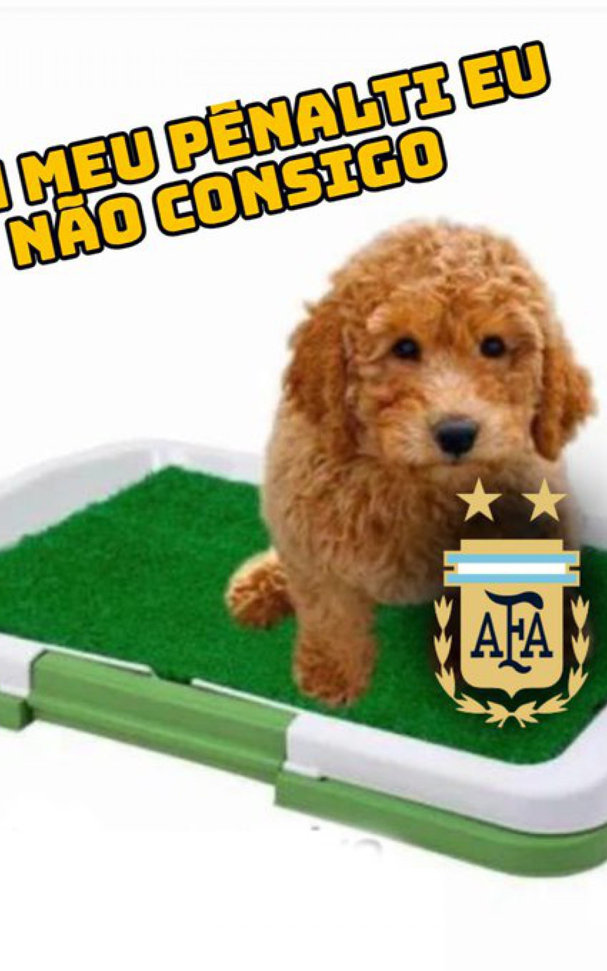 Derrota da Argentina na Copa rende memes na Web