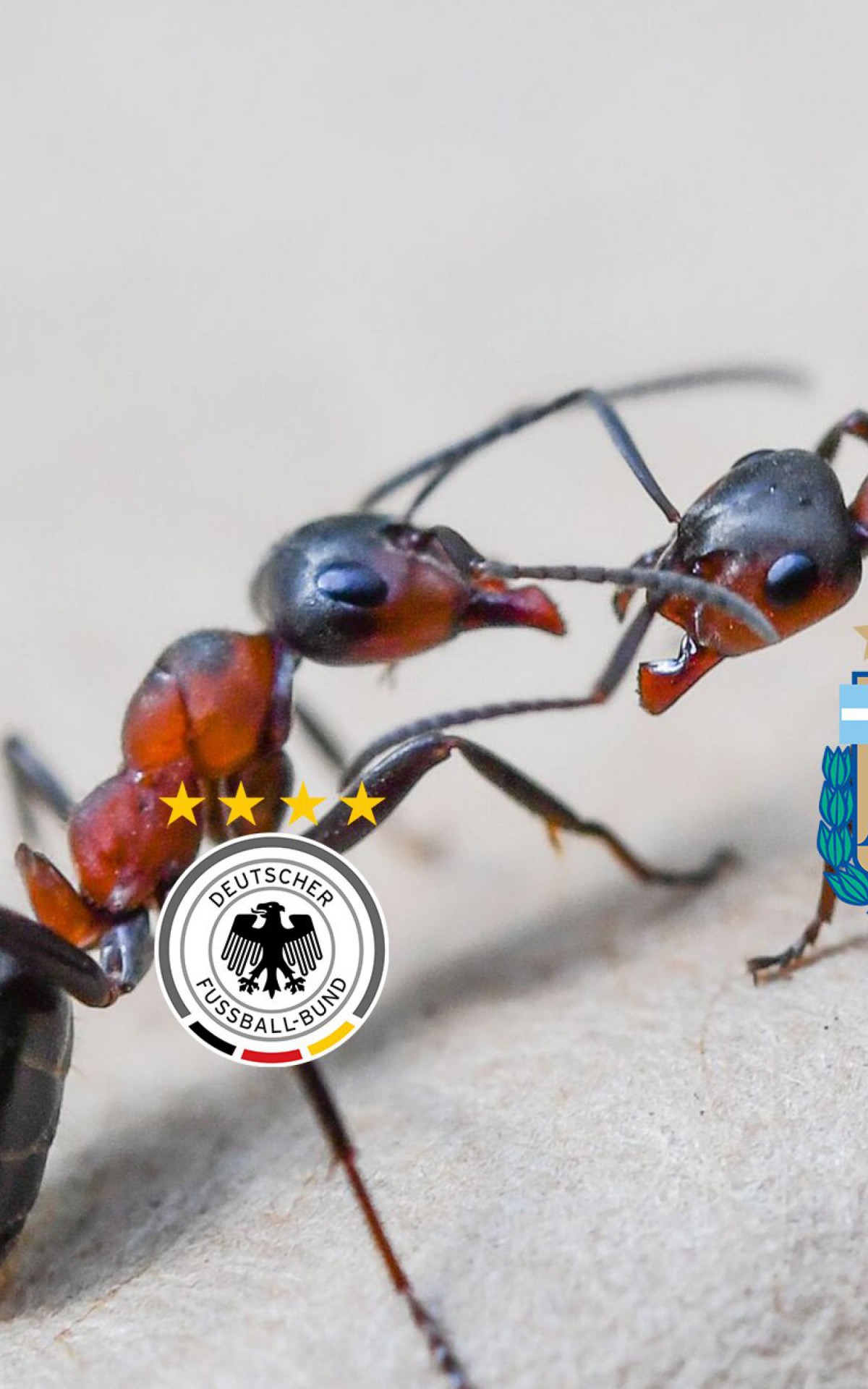 Brasileiros tiram onda ap&oacute;s derrota da Alemanha para o Jap&atilde;o