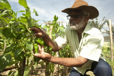 Biotec Maricá realiza curso gratuito de certificação de produtos orgânicos para agricultores da cidade