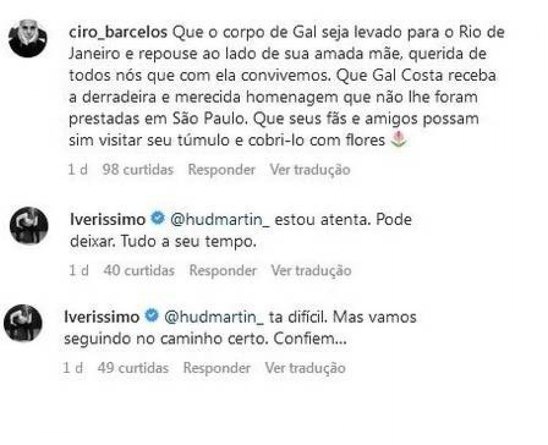 Ex-empresário, fãs e amigos questionam sepultamento de Gal Costa em São Paulo - Reprodução Internet