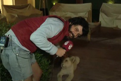 Contrariando todas as expectativas, Diogo Defante ainda não foi preso no Catar