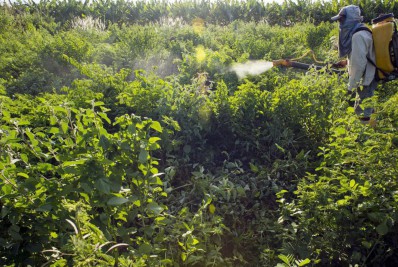 Votação de proposta sobre regras para comercialização de agrotóxico é adiada