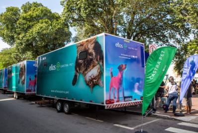 Coordenadoria de Polícia Pacificadora promove atendimento gratuito para cães e gatos na sexta