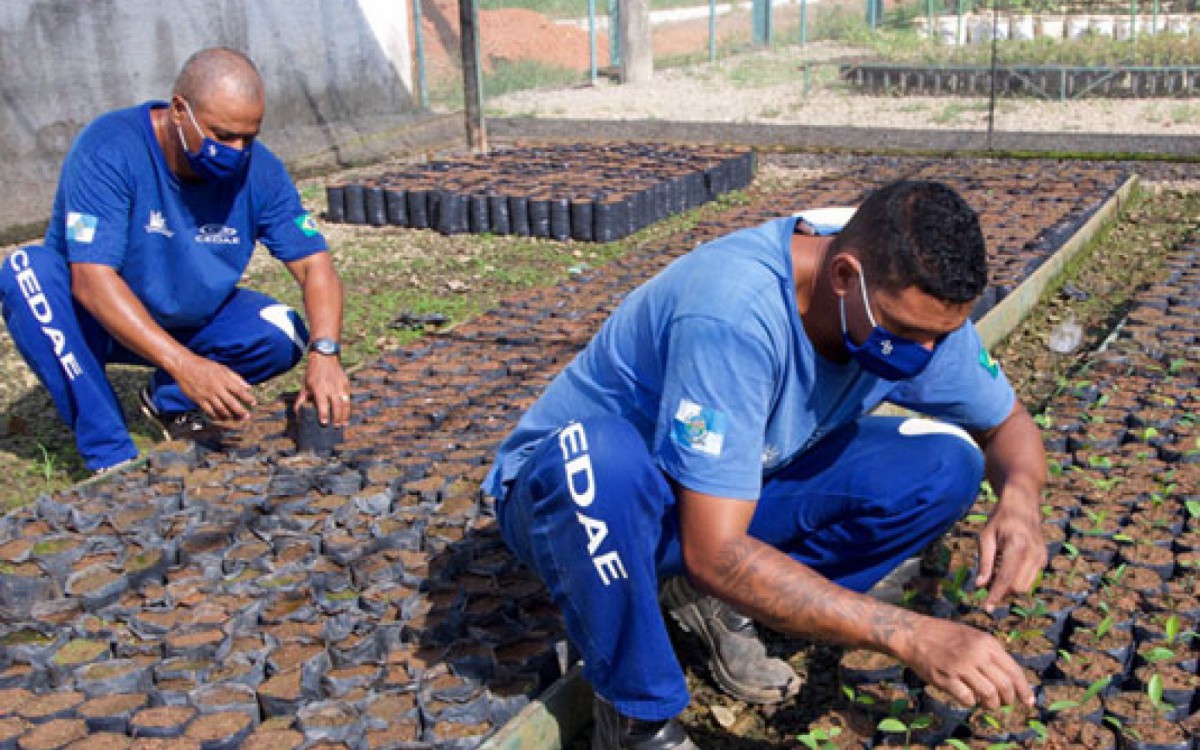 Segundo presidente da Cedae, apenas 20% dos integrantes do Replantando Vidas voltam a cometer crimes