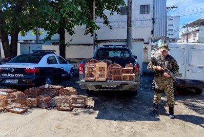 Policiamento Ambiental da PM apreende 60 pássaros silvestres e 50 caranguejos-uçá em feira de Belford Roxo