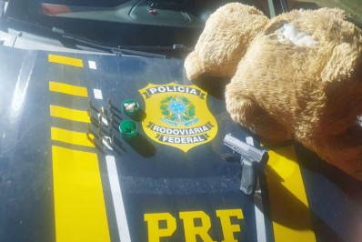 PRF encontra pistola e munições dentro de urso de pelúcia