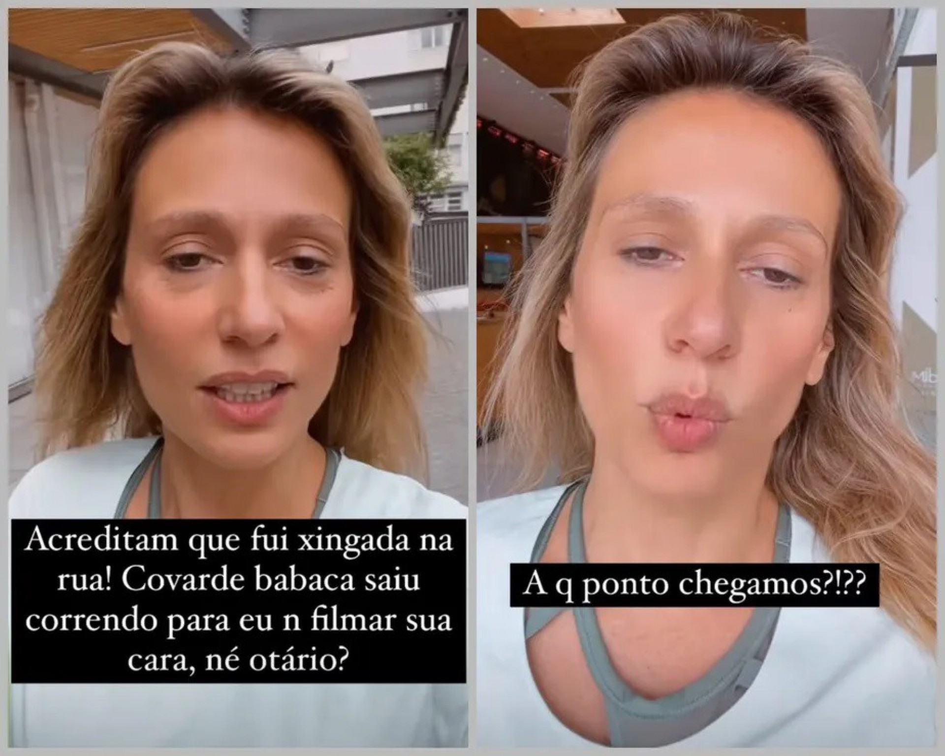 Luisa Mell conta que foi ofendida por bolsonarista enquanto caminhava pela rua - Reprodução / Instagram