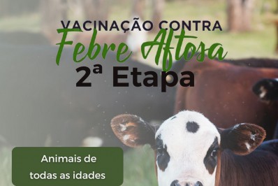 Areal terá 2ª fase de vacinação contra febre aftosa