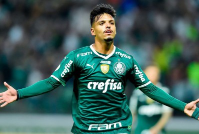 Botafogo consulta a situação de volante do Palmeiras