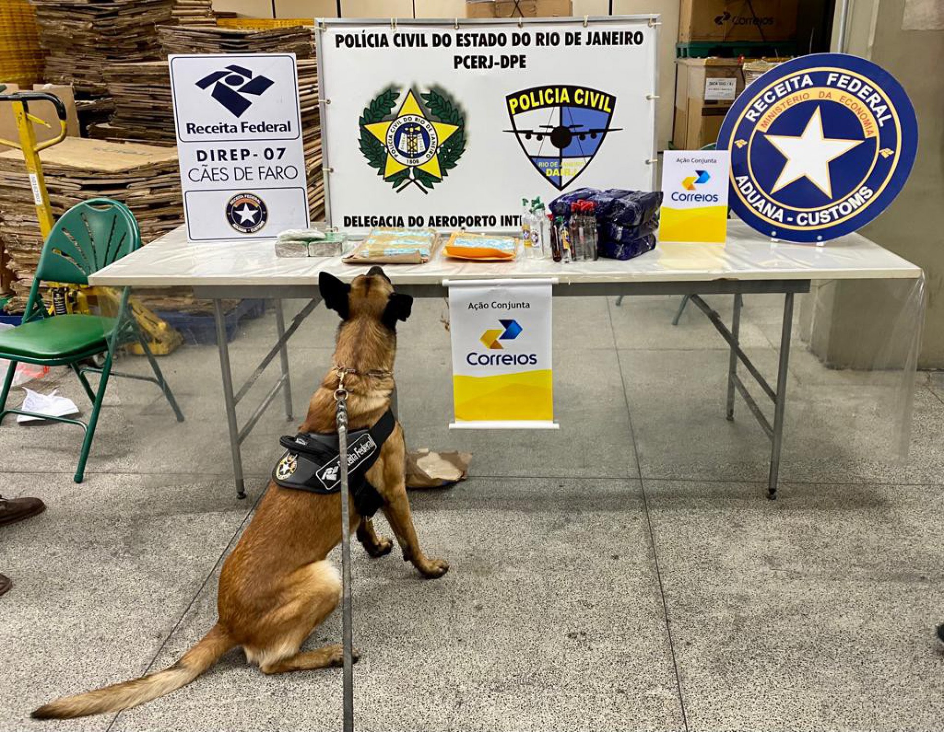 Apreensão de drogas contou com a participação de cães de faro da Receita Federal do Brasil (RFB) - Divulgação