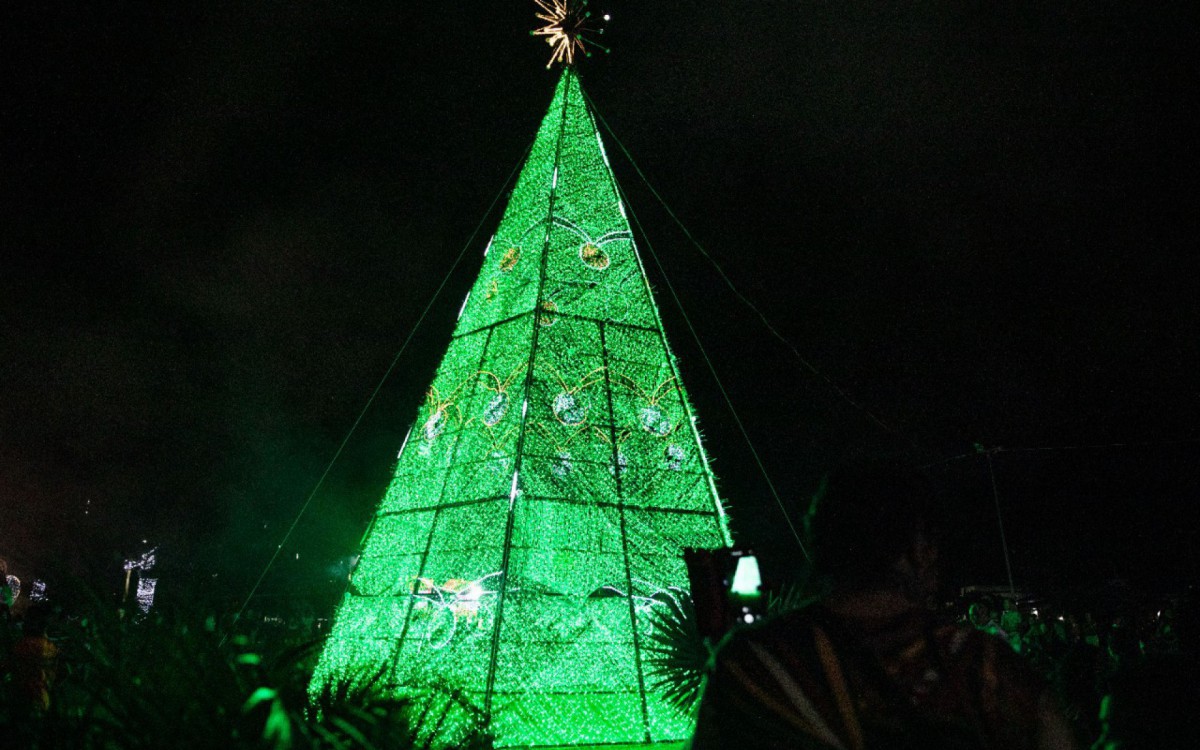 A &Aacute;rvore de Natal da pra&ccedil;a do Papai Noel est&aacute; linda