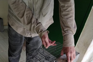 Nova Friburgo recebe pesquisadores da Fiocruz e da Secretaria de Estado de Saúde para ações de vigilância em zoonoses