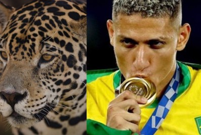 Pombo? Que nada! Richarlison não namorou a Juma de Pantanal, mas é pai de uma onça.