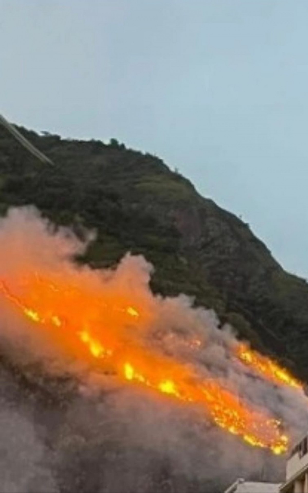 Em um ano, segundo incÃªndio na mata do Morro dos Cabritos - foto da coluna