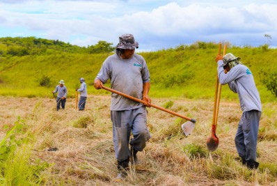Maior reflorestamento da história de Nilópolis continua no Parque Gericinó
