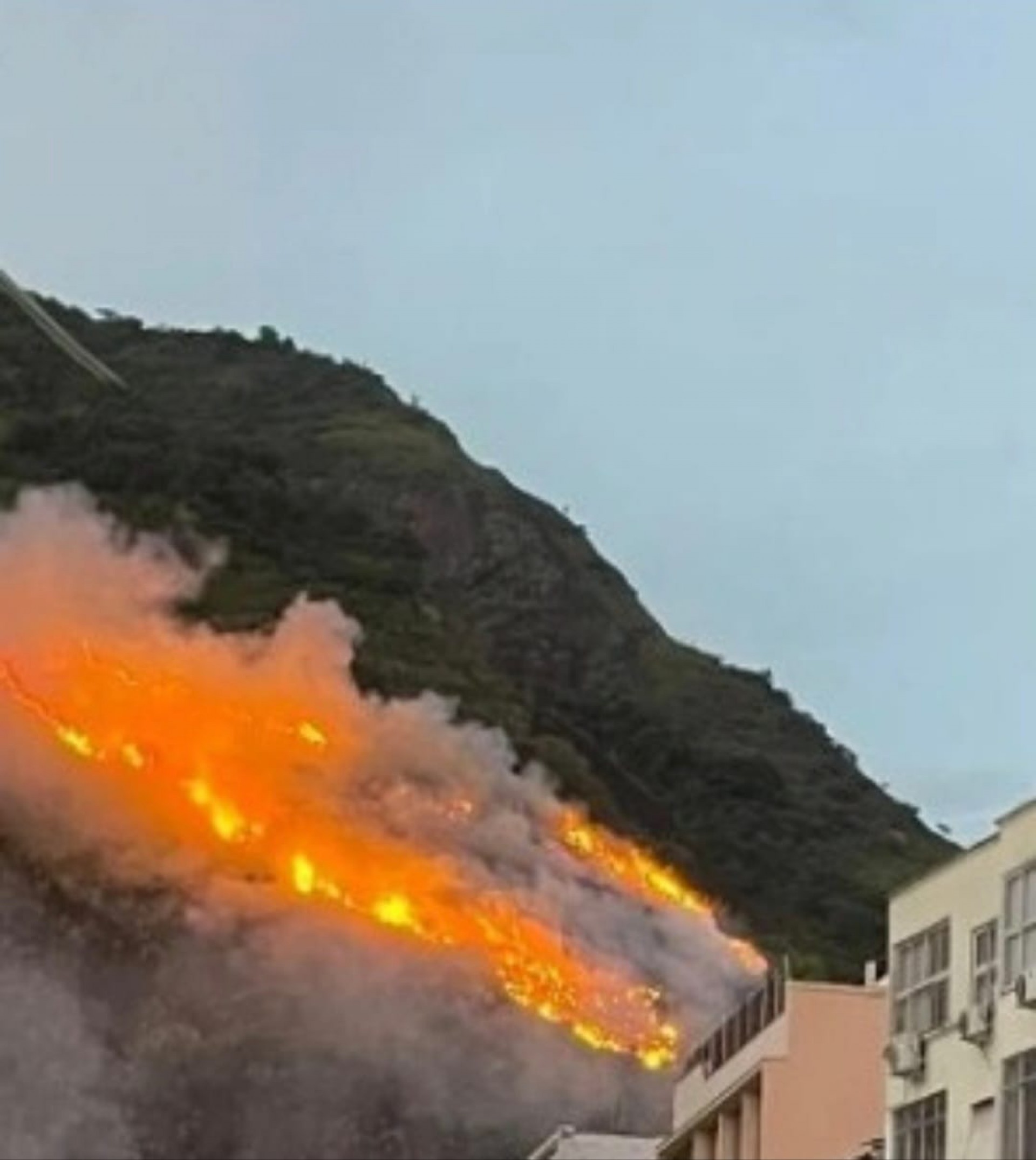 Em um ano, segundo inc&ecirc;ndio na mata do Morro dos Cabritos