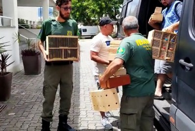Polícia prende seis homens suspeitos de vender 68 animais silvestres sem autorização na Tijuca