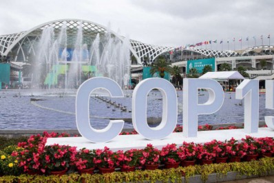 ONU pede que negociadores deem 'passo adiante' na COP15 sobre biodiversidade