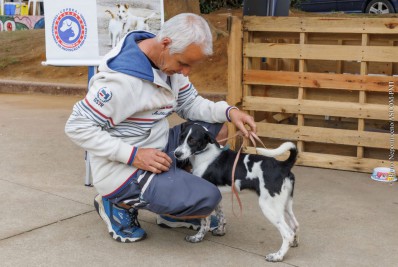 ‘Adote um Amor’: COPBEA doa cinco cães na última feira de adoção de 2022