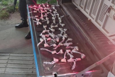 Dupla é presa por tráfico de drogas em Cabo Frio