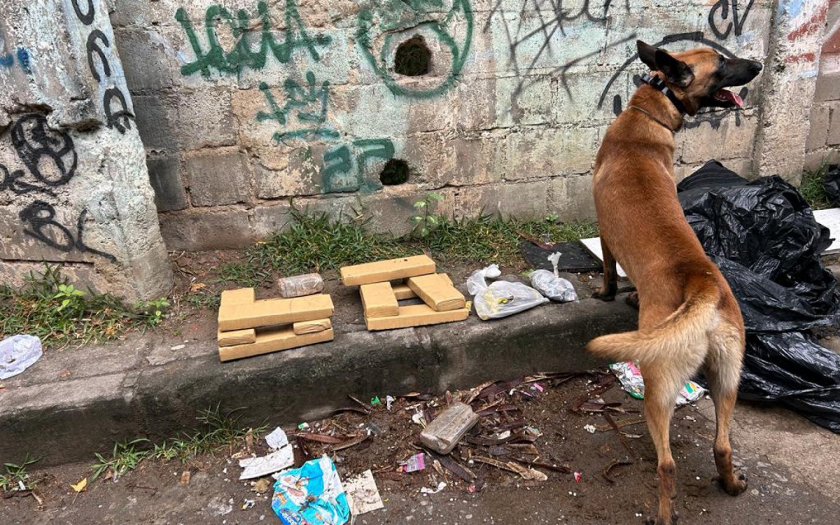  Um esconderijo de drogas foi localizado na comunidade Bandeira 2, em Del Castilho, Zona Norte - Divulgação