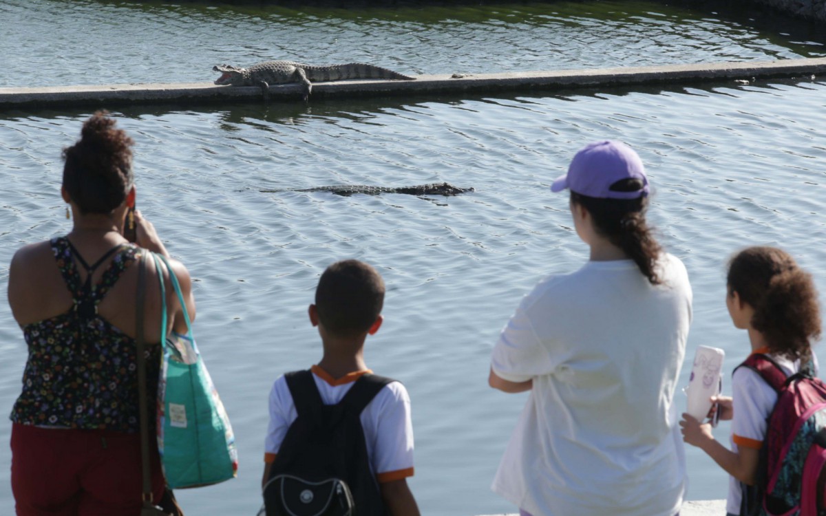 Instala&ccedil;&atilde;o de guarda-corpo ser&aacute; uma das medidas implementadas para garantir a seguran&ccedil;a dos visitantes e dos animais - Alex Ramos / Prefeitura&nbsp;de&nbsp;Niter&oacute;i