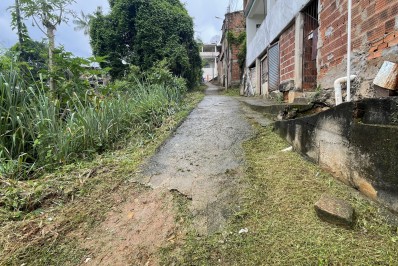 Chuvas fazem vegetação crescer rápida e governo municipal realiza mutirão em pontos críticos
