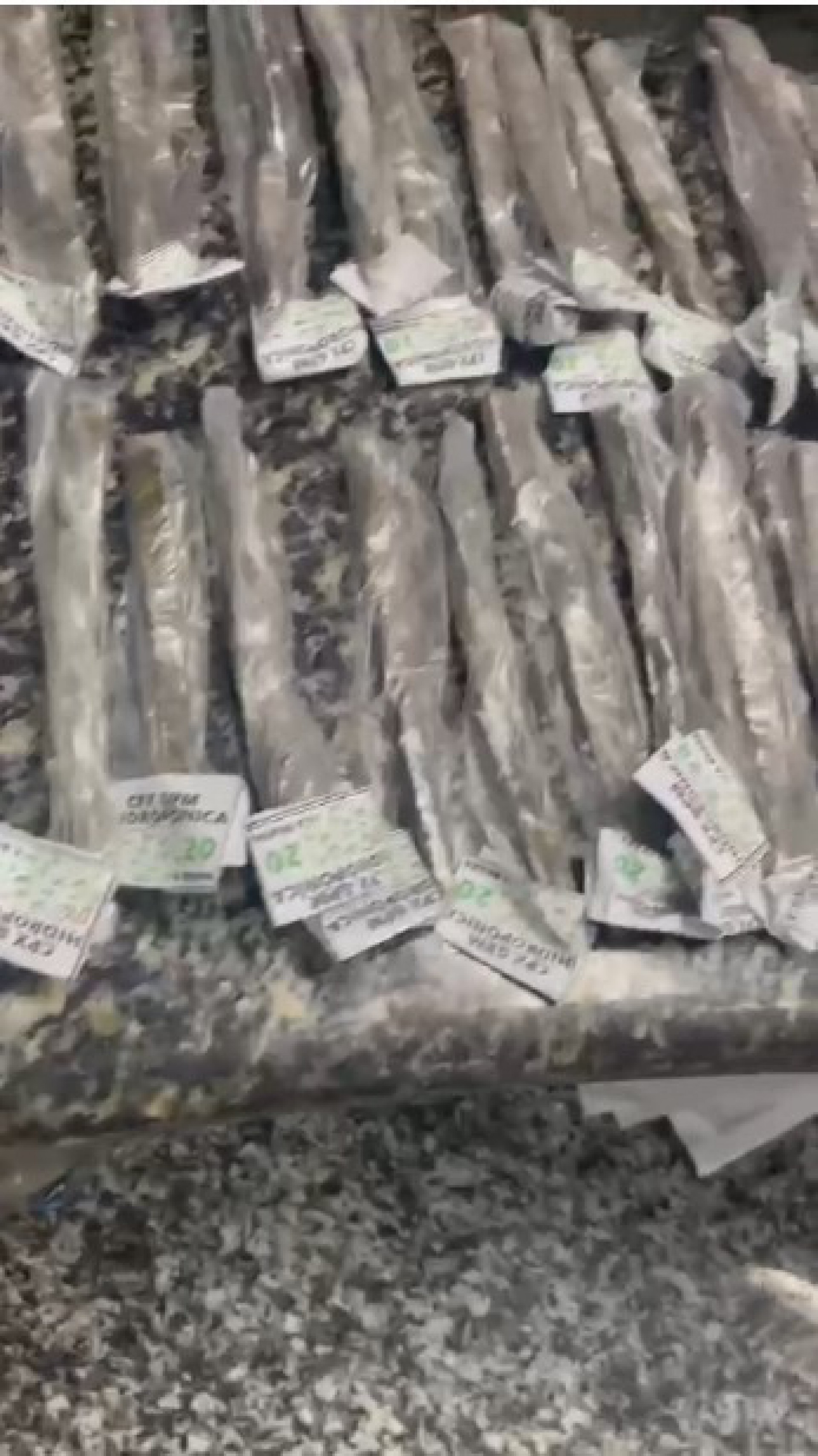 Essa &eacute; apenas uma parte da farta quantidade de drogas que foi apreendida em Guapimirim