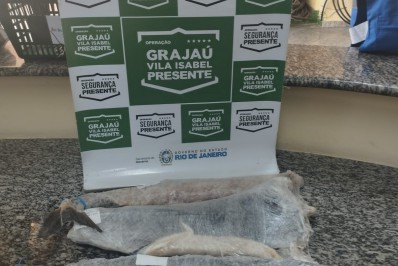 Segurança Presente do Grajaú prende homem por furto de peças de bacalhau