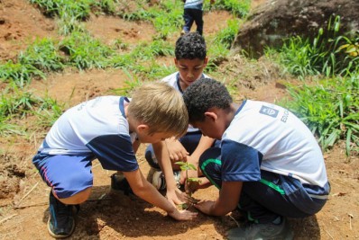 Pérolas Negras inicia plantio de árvores por cada gol marcado