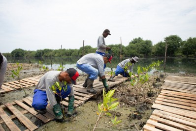 Revitalização das lagoas da Barra e Jacarepaguá completa um ano